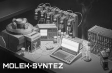 MOLEK-SYNTEZ BR (Brazil)