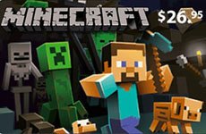 Minecraft BR (Brazil)